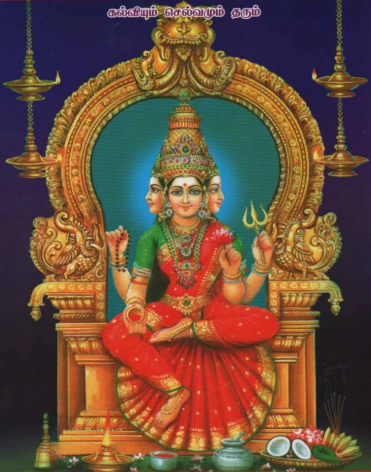 அருள்மிகு தில்லைக்காளியம்மன் திருக்கோயில், சிதம்பரம் - 608001 - Main View