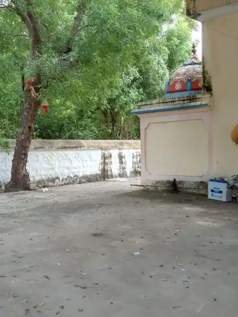 Arulmigu Thillainachiyamman Temple, Thiruvellarai - 621009 Temple
