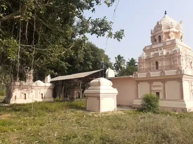 Arulmigu Thillainayagaswamy Temple, Solagankudikadu - 614626 அருள்மிகு தில்லைநாயகசுவாமி திருக்கோயில், சோழகன்குடிக்காடு - 614626, Thanjavur - Ancient Temple Architecture and History Image 3