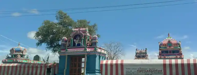 Arulmigu Thillainayagi Amman Temple, Rathanoor - 623401 அருள்மிகு தில்லைநாயகசுவாமி திருக்கோயில், Rathanoor - 623401, Ramanathapuram - Ancient Temple Architecture and History Image 4