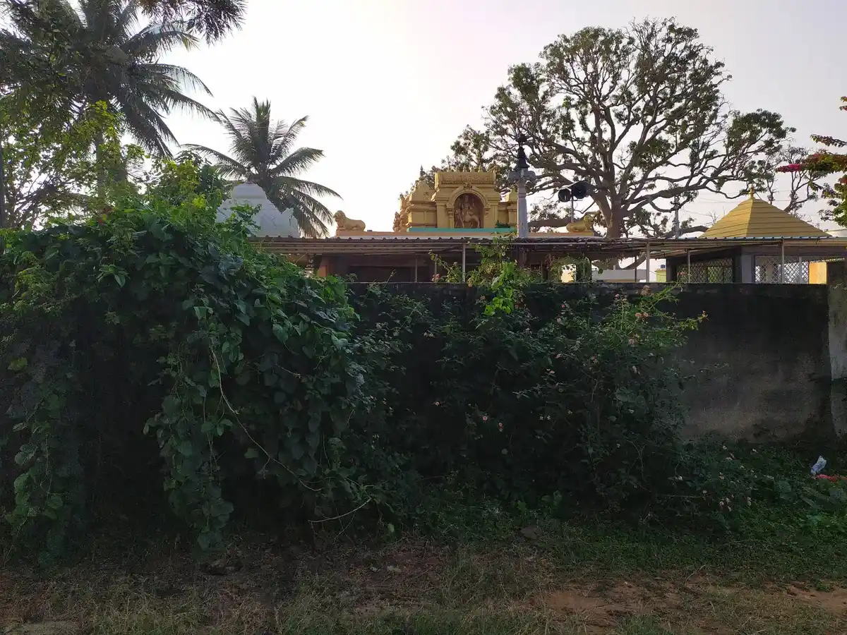 Arulmigu Thimmaman Temple, Belagondapalli - 635114 அருள்மிகு திம்மம்மன் திருக்கோயில், Belagondapalli - 635114, Krishnagiri - Ancient Temple Architecture and History Image 4