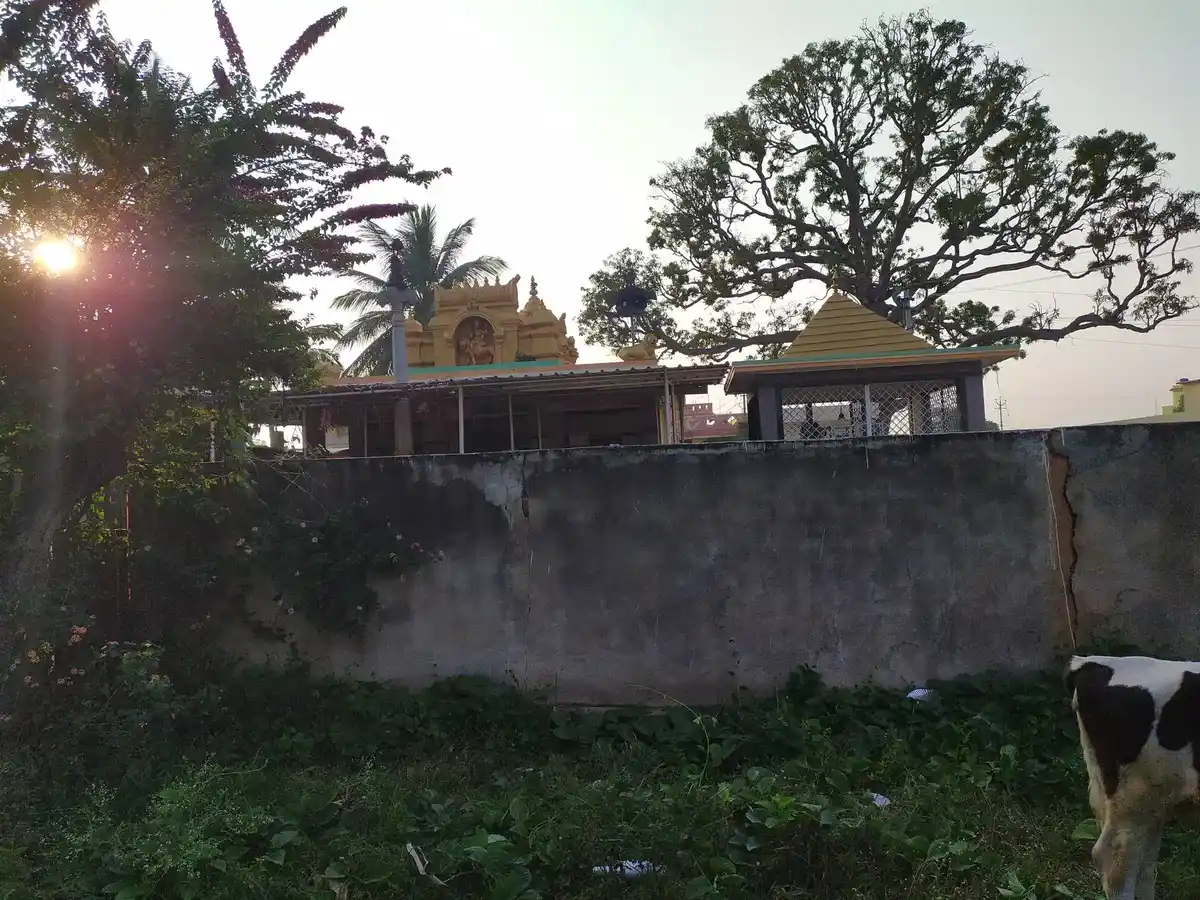 Arulmigu Thimmaman Temple, Belagondapalli - 635114 அருள்மிகு திம்மம்மன் திருக்கோயில், Belagondapalli - 635114, Krishnagiri - Ancient Temple Architecture and History Image 5