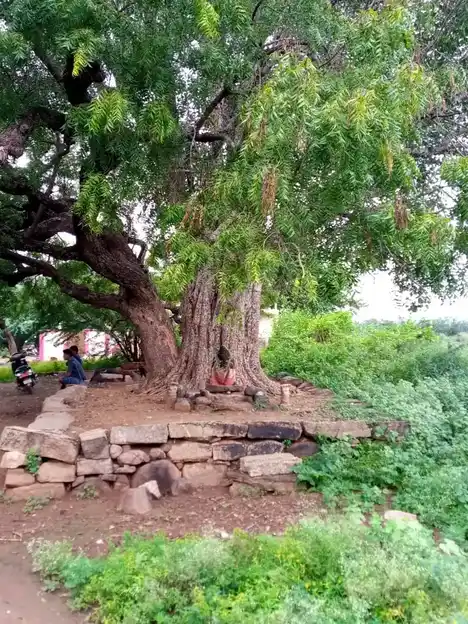 Arulmigu Thimmanour Vinayagar Temple, Aniyapoor - 621303 Arulmigu Thimmanour Vinayagar Temple, Aniyapoor - 621303, Thiruchirappalli - Ancient Temple Architecture and History Image 2