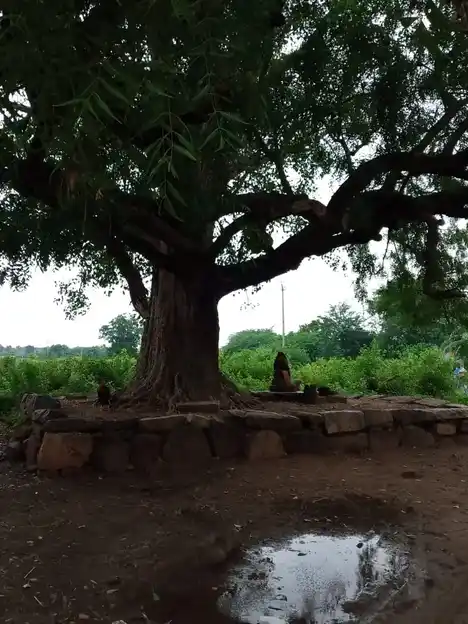 Arulmigu Thimmanour Vinayagar Temple, Aniyapoor - 621303 Arulmigu Thimmanour Vinayagar Temple, Aniyapoor - 621303, Thiruchirappalli - Ancient Temple Architecture and History Image 3