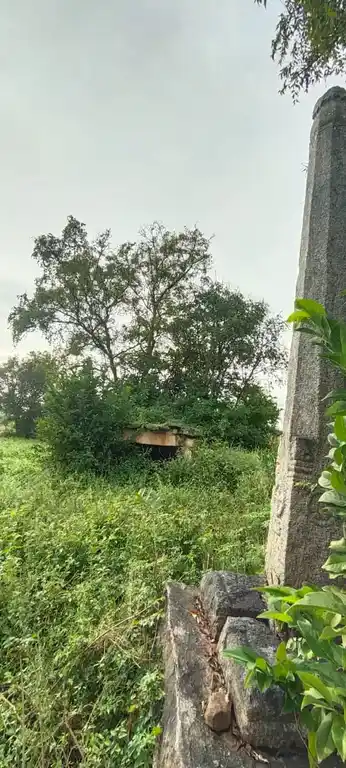 Arulmigu Thimmaraya Swamy Temple, Doddanaikanahalli - 635107 Temple