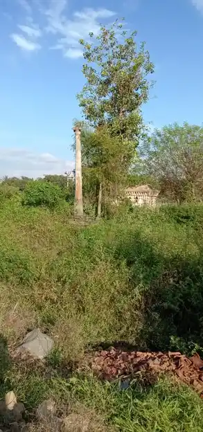 Arulmigu Thimmaraya Swamy Temple, Edavanahalli - 635116 Temple