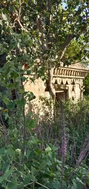 Arulmigu Thimmaraya Swamy Temple, Edavanahalli - 635116 அருள்மிகு திம்மராயசாமி திருக்கோயில், Edavanahalli - 635116, Krishnagiri - Ancient Temple Architecture and History Image 2