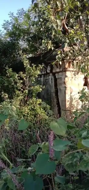 Arulmigu Thimmaraya Swamy Temple, Edavanahalli - 635116 அருள்மிகு திம்மராயசாமி திருக்கோயில், Edavanahalli - 635116, Krishnagiri - Ancient Temple Architecture and History Image 3