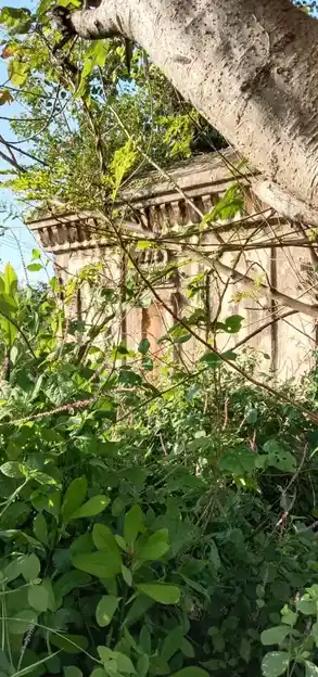 Arulmigu Thimmaraya Swamy Temple, Edavanahalli - 635116 அருள்மிகு திம்மராயசாமி திருக்கோயில், Edavanahalli - 635116, Krishnagiri - Ancient Temple Architecture and History Image 8