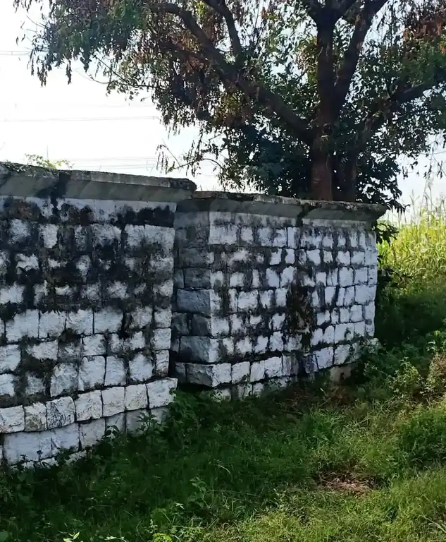 Arulmigu Thimmaraya Swamy Temple, Near Nagavathi Dam, Balajangamanahalli - 636807 Arulmigu Thimmaraya Swamy Temple, Near Nagavathi Dam, Balajangamanahalli - 636807, Dharmapuri - Ancient Temple Architecture and History Image 5