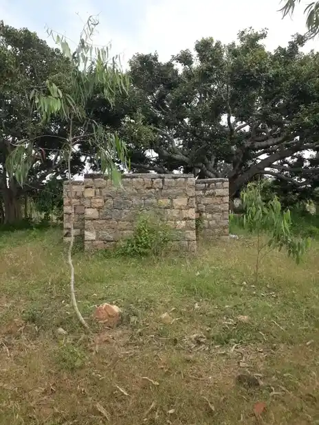 Arulmigu Thimmaraya Swamy Temple, Pachchapanatti - 635113 அருள்மிகு திம்மராயசாமி திருக்கோயில், Pachchapanatti - 635113, Krishnagiri - Ancient Temple Architecture and History Image 4