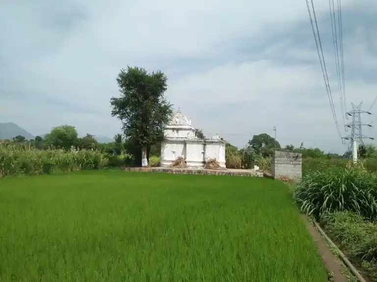 Arulmigu Thimmaraya Swamy Temple, Somanahalli - 636803 அருள்மிகு திம்மராயசாமி திருக்கோயில், Somanahalli - 636803, Dharmapuri - Ancient Temple Architecture and History Image 2