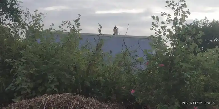 Arulmigu Thimmaraya Swamy Temple, Vattuvanahalli - 636810 Arulmigu Thimmaraya Swamy Temple, Vattuvanahalli - 636810, Dharmapuri - Ancient Temple Architecture and History Image 2