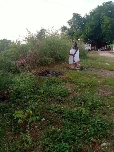 Arulmigu Thimmarayaperumal Temple, Gudalur - 637103 அருள்மிகு திம்மராயப்பெருமாள் திருக்கோயில், Gudalur - 637103, Salem - Ancient Temple Architecture and History Image 2