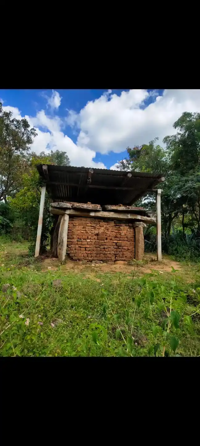 Arulmigu Thimmarayaswamy Temple, Agasipalli - 635002 அருள்மிகு திம்மராய சுவாமி திருக்கோயில், Agasipalli - 635002, Krishnagiri - Ancient Temple Architecture and History Image 3