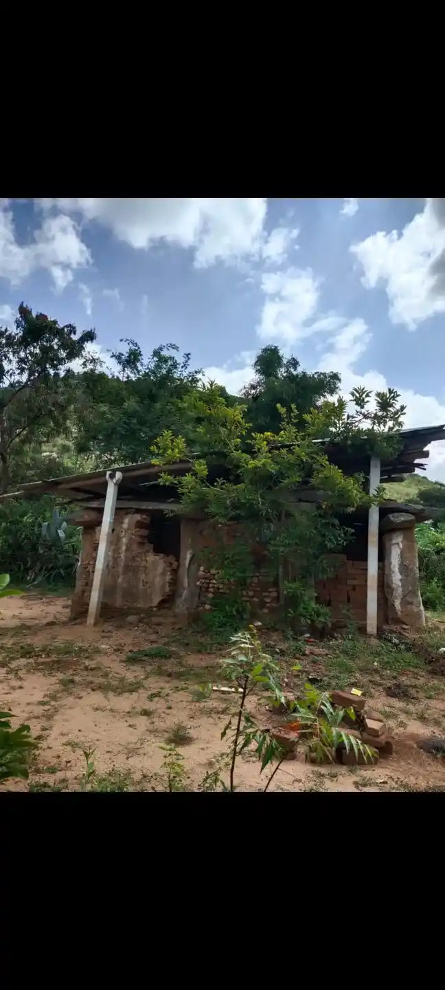 Arulmigu Thimmarayaswamy Temple, Agasipalli - 635002 அருள்மிகு திம்மராய சுவாமி திருக்கோயில், Agasipalli - 635002, Krishnagiri - Ancient Temple Architecture and History Image 4
