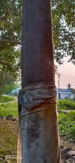 Arulmigu Thimmarayaswamy Temple, Appinayakanpatti, Appinaickampatti - 635207 Temple