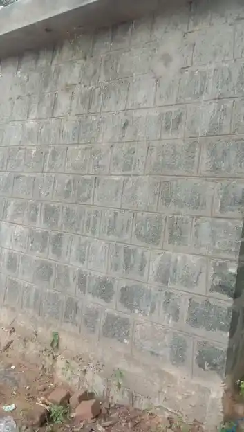 Arulmigu Thimmarayaswamy Temple, Bommidi - 635301 அருள்மிகு திம்மராயசாமி திருக்கோயில், Bommidi - 635301, Dharmapuri - Ancient Temple Architecture and History Image 4