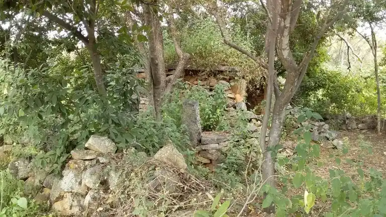 Arulmigu Thimmarayaswamy Temple, Jinjampatti - 635203 அருள்மிகு திம்மராய சுவாமி திருக்கோயில், ஜிஞ்ஜம்பட்டி - 635203, Krishnagiri - Ancient Temple Architecture and History Image 4