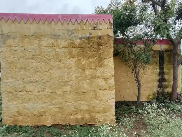 Arulmigu Thimmarayaswamy Temple, Jinjupalli - 635115 அருள்மிகு திம்மராயசுவாமி திருக்கோயில், ஜிஞ்சுப்பள்ளி - 635115, Krishnagiri - Ancient Temple Architecture and History Image 3