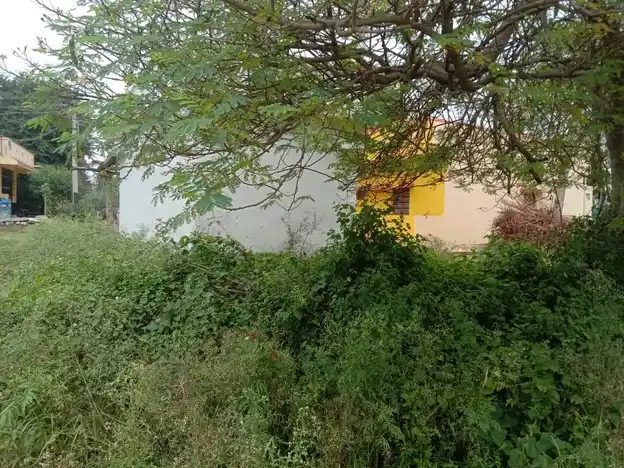 Arulmigu Thimmarayaswamy Temple, Kothapalli - 635103 அருள்மிகு திம்மராய சாமி திருக்கோயில், Kothapalli - 635103, Krishnagiri - Ancient Temple Architecture and History Image 3