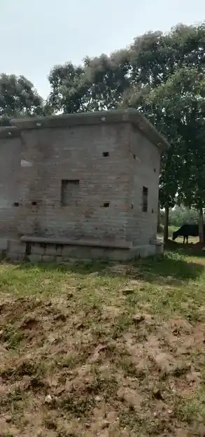 Arulmigu Thimmarayaswamy Temple, Malakkathimanahalli, Bannihalli - 635106 அருள்மிகு திம்மராயசுவாமி திருக்கோயில், மலக்கத்திம்மனஅள்ளி, பன்னிஅள்ளி - 635106, Krishnagiri - Ancient Temple Architecture and History Image 3