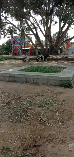 Arulmigu Thimmarayaswamy Temple, Nandimangalam - 635105 அருள்மிகு திம்மராய சுவாமி திருக்கோயில், Nandimangalam - 635105, Krishnagiri - Ancient Temple Architecture and History Image 3