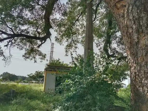 Arulmigu Thimmarayaswmy Temple, Dasiripalli - 635121 Temple