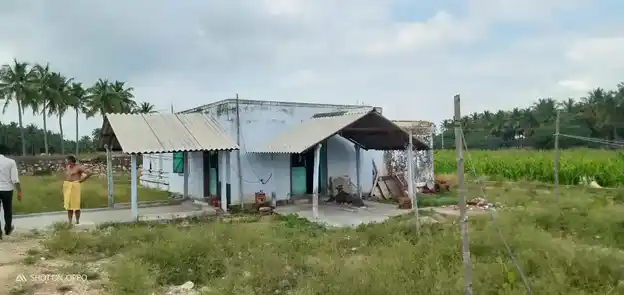 Arulmigu Thineswarar Temple, Chinnaputhur - 638657