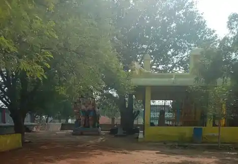 Arulmigu Thiripurasundari Amman Temple, Pudiyamputtur - 628402 அருள்மிகு திரிபுரசுந்தரி அம்மன் திருக்கோயில், Pudiyamputtur - 628402, Thoothukudi - Ancient Temple Architecture and History Image 3