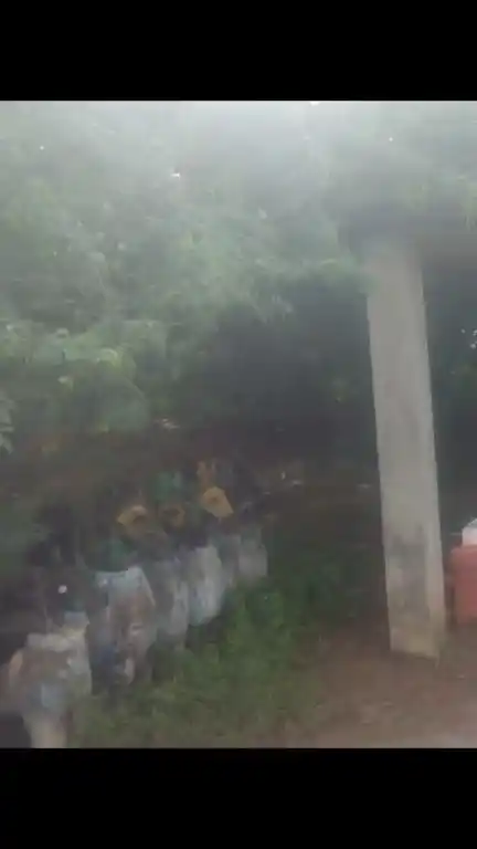 Arulmigu Thirisulamudaiya Ayyanar Temple, Veppankulam - 630305 Arulmigu Thirisulamudaiya Ayyanar Temple, Veppankulam - 630305, Ramanathapuram - Ancient Temple Architecture and History Image 3