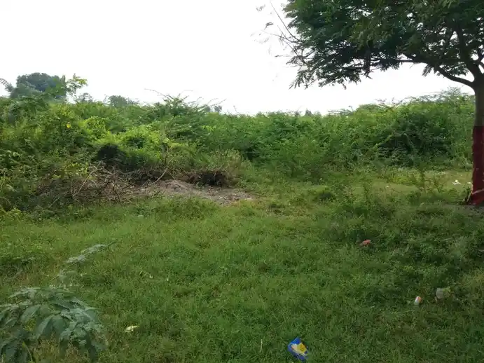 Arulmigu Thiropathaiyamman Temple, Nallanayagapuram - 621714 Temple