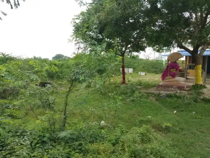 Arulmigu Thiropathaiyamman Temple, Nallanayagapuram - 621714 Arulmigu Thiropathaiyamman Temple, Nallanayagapuram - 621714, Ariyalur - Ancient Temple Architecture and History Image 3