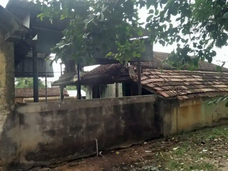 Arulmigu Thiropathaiyamman Temple, Nayakkarpalayam - 621715 அருள்மிகு திரௌபதியம்மன் திருக்கோயில், நாயக்கர்பாளையம் - 621715, Ariyalur - Ancient Temple Architecture and History Image 2