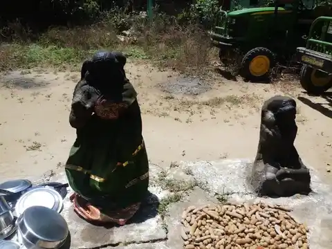 Arulmigu Thiroupathai Amman Temple, Kallakudi - 613204 Arulmigu Thiroupathai Amman Temple, Kallakudi - 613204, Thanjavur - Ancient Temple Architecture and History Image 5