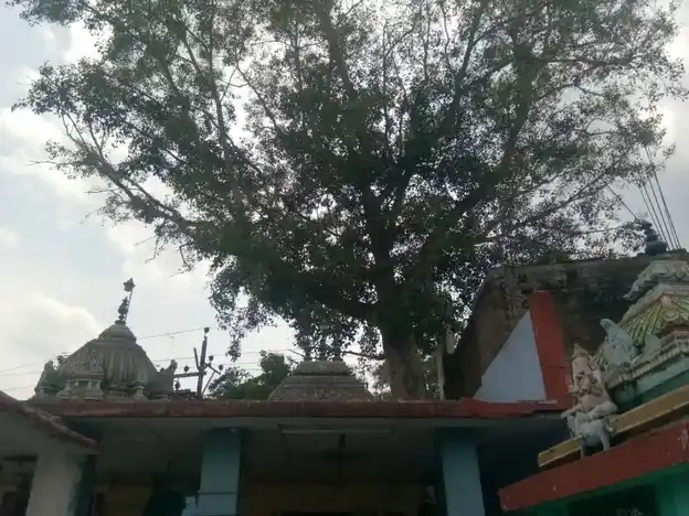 Arulmigu Thiroupathiamman Temple, Palani - 624601 அருள்மிகு திரௌபதியம்மன் காளியம்மன் திருக்கோயில், Palani - 624601, Dindigul - Ancient Temple Architecture and History Image 3