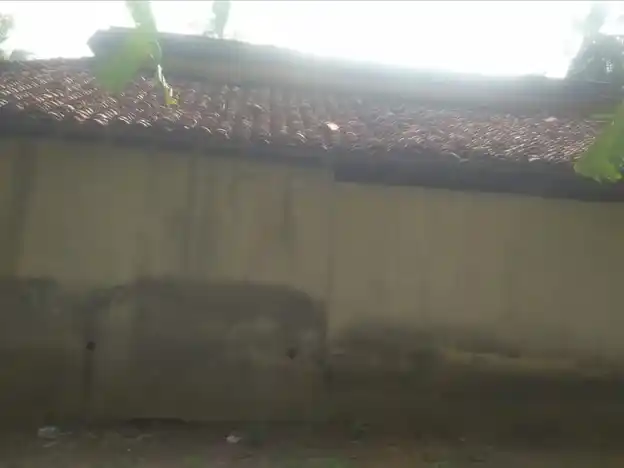 Arulmigu Thiroupathyamman Temple, Sathanur - 609802 Arulmigu Thiroupathyamman Temple, Sathanur - 609802, Thanjavur - Ancient Temple Architecture and History Image 3