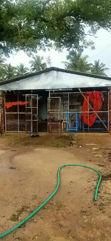 Arulmigu Thirowathiamman Temple, Madukoor - 614903