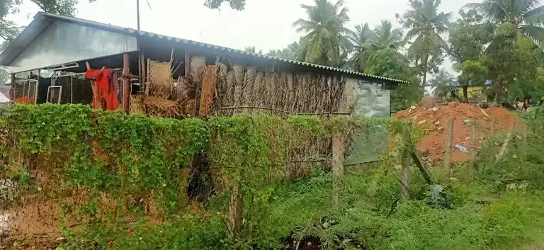 Arulmigu Thirowathiamman Temple, Madukoor - 614903 Arulmigu Thirowathiamman Temple, Madukoor - 614903, Thanjavur - Ancient Temple Architecture and History Image 3