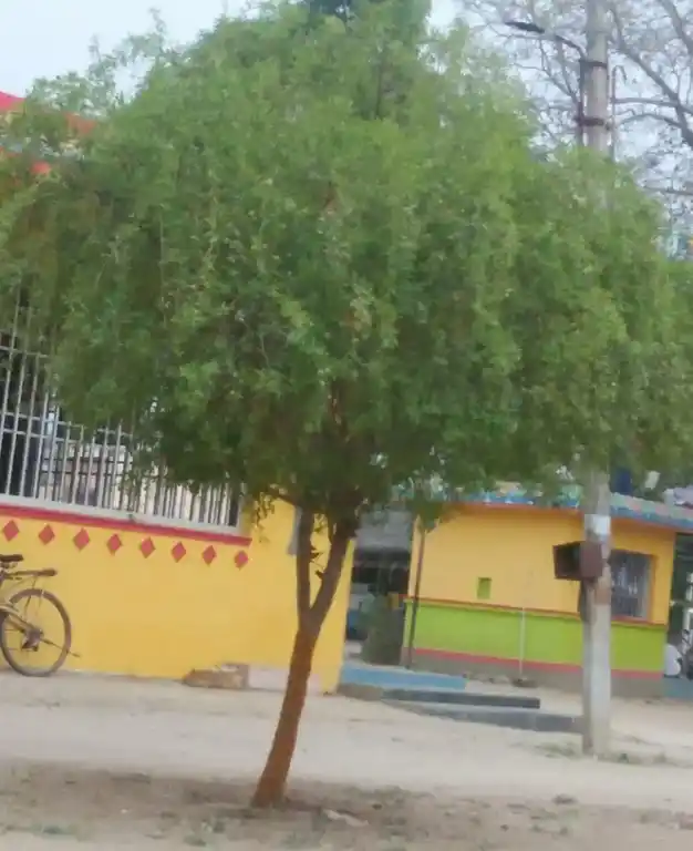 Arulmigu Thirowbathiamman Temple, Krishnagiri - 635001 Temple