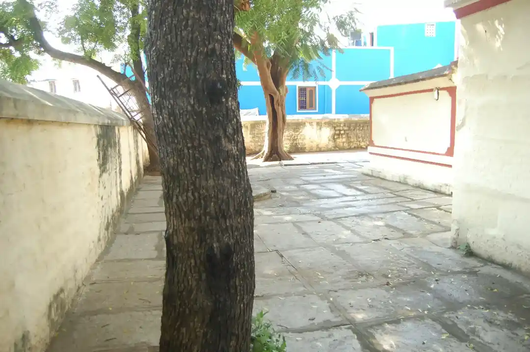 Arulmigu Thirowpathiamman Temple, Melmalaiyanur - 604204 அருள்மிகு திரௌபதி அம்மன் திருக்கோயில், மேல்மலையனூர் - 604204, Viluppuram - Ancient Temple Architecture and History Image 4