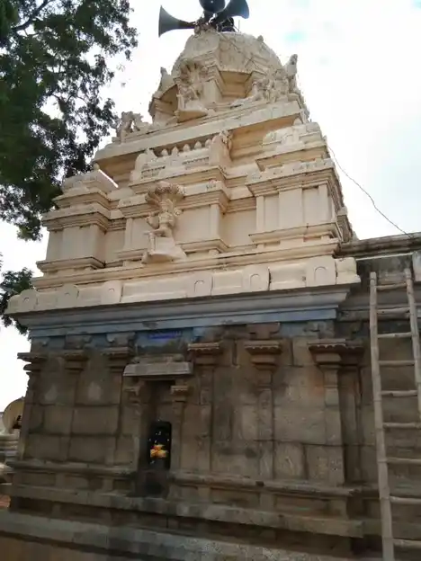 Arulmigu Thirubuvaneswarar Temple, S.Kulathur - 630653 அருள்மிகு திரிபுவனேஸ்வரர் திருக்கோயில், எஸ்.கொளத்தூா் - 630653, Ranipet - Ancient Temple Architecture and History Image 4