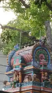 Arulmigu Thiruchadai Amman Temple, Egmore, Chennai - 600008 அருள்மிகு திருச்சடையம்மன் திருக்கோயில், மார்ஷல்ரோடு, சென்னை - 600008, Chennai - Ancient Temple Architecture and History Image 2