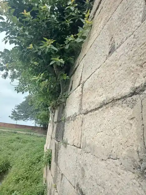 Arulmigu Thiruchitrambala Vinayagar Temple, Melmandai - 628901 அருள்மிகு திருச்சிற்றம்பல விநாயகர் திருக்கோயில், Melmandai - 628901, Thoothukudi - Ancient Temple Architecture and History Image 3