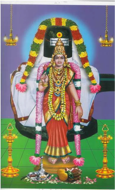 அருள்மிகு திருக்குற்றாலநாதசுவாமி திருக்கோயில், குற்றாலம், தென்காசி - 627802