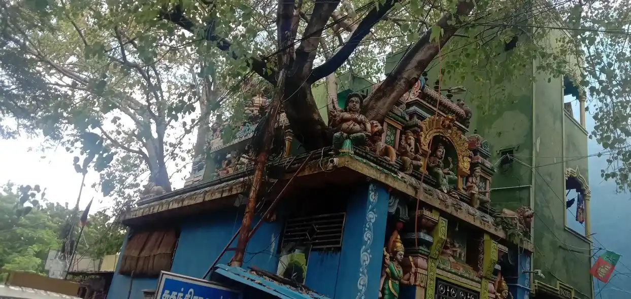 Arulmigu Thirukaiyamman Temple, Loyids Road, Chennai - 600014 அருள்மிகு திருக்கையம்மன் திருக்கோயில், லாயிட்ஸ் சாலை, சென்னை - 600014, Chennai - Ancient Temple Architecture and History Image 2