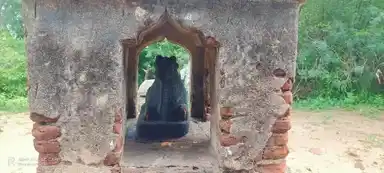 Arulmigu Thirukalanathar Temple, Thiruppakkovil, Karambakudi Taluk - 622302 அருள்மிகு திருக்களநாதர் திருக்கோயில், திருப்பாக்கோயில், கறம்பக்குடி வட்டம் - 622302, Pudukkottai - Ancient Temple Architecture and History Image 6