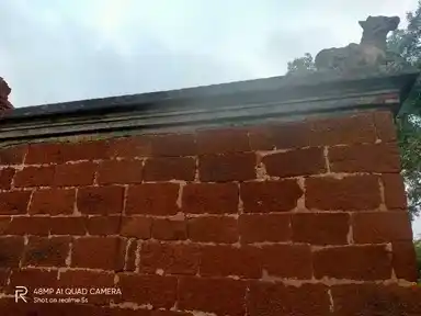 Arulmigu Thirukalanathar Temple, Thiruppakkovil, Karambakudi Taluk - 622302 அருள்மிகு திருக்களநாதர் திருக்கோயில், திருப்பாக்கோயில், கறம்பக்குடி வட்டம் - 622302, Pudukkottai - Ancient Temple Architecture and History Image 7