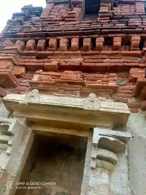 Arulmigu Thirukalanathar Temple, Thiruppakkovil, Karambakudi Taluk - 622302 அருள்மிகு திருக்களநாதர் திருக்கோயில், திருப்பாக்கோயில், கறம்பக்குடி வட்டம் - 622302, Pudukkottai - Ancient Temple Architecture and History Image 10