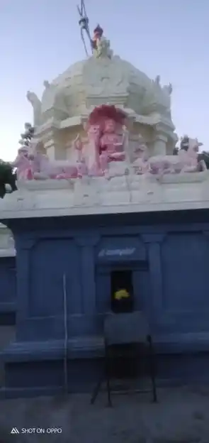 Arulmigu Thirukameswarar Temple, Panapakkam - 607108 அருள்மிகு திருக்காமேஸ்வரர் திருக்கோயில், பணப்பாக்கம் - 607108, Cuddalore - Ancient Temple Architecture and History Image 2